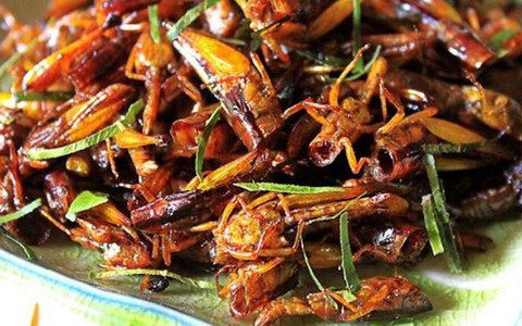1 phụ nữ tử vong sau khi ăn châu chấu rang