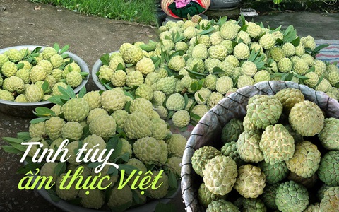 Về Võ Nhai, thưởng lãm món quà quý mà trời đất ban cho vùng đất này