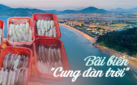 Ở miền Trung có một bãi biển tên gọi mỹ miều, sở hữu bờ cát trắng hình dáng độc nhất vô nhị