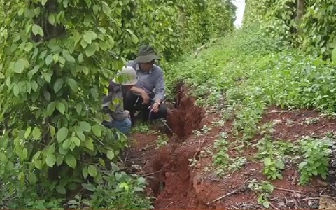 Xuất hiện thêm nhiều vết nứt, sạt trượt mới tại Đắk Nông