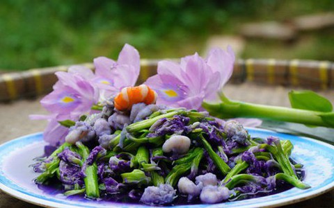 Loại cây người Việt thường vứt bỏ hóa ra lại là vị thuốc quý, món ăn ngon tại nhiều nước