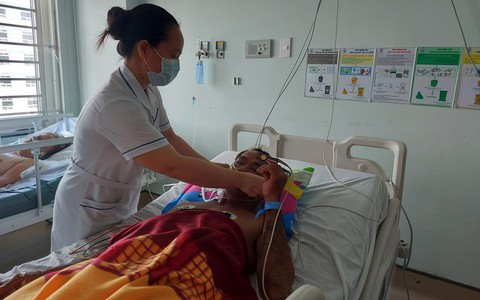 Một ngư dân tử vong, hai người nhập viện do ăn cá nóc