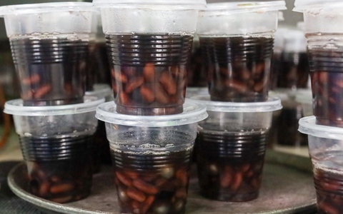 Quán chè nổ đơn liên tục nhờ món 'chè thoát ế' trong ngày Thất tịch