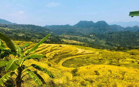 Bắt trọn "thời điểm vàng" tận hưởng và trải nghiệm Pù Luông đẹp nhất trong năm với chi phí chưa tới 2 triệu đồng