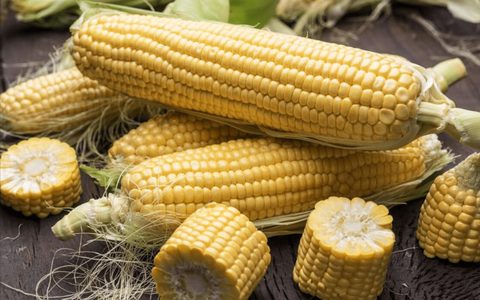 Có nên ăn ngô luộc hàng ngày không?