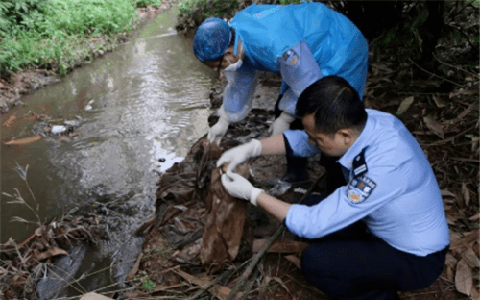 Gã đồ tể bị xử tử vì tội giết người, vài năm sau nạn nhân "sống dậy" hé lộ chân tướng án oan