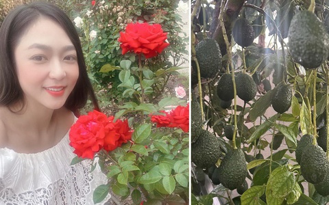 Cơ ngơi của Hà Thanh Xuân ở Mỹ: Rộng 600m2, vườn nhà đủ loại hoa và trái cây ăn không hết