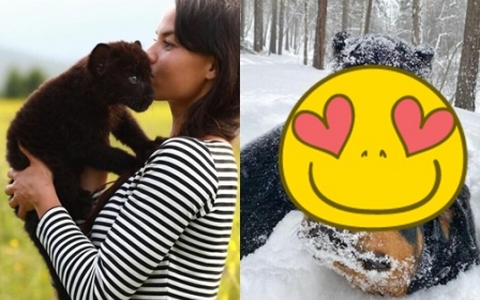 Bị mẹ bỏ rơi lúc mới chào đời, chú báo con được cô gái trẻ nhận nuôi và cái kết "đáng ghen tị" sau gần 3 năm