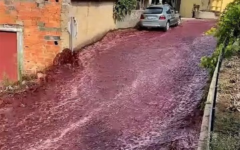 Nhà máy rượu vỡ thùng chứa, con đường ở thị trấn thành dòng sông vang đỏ