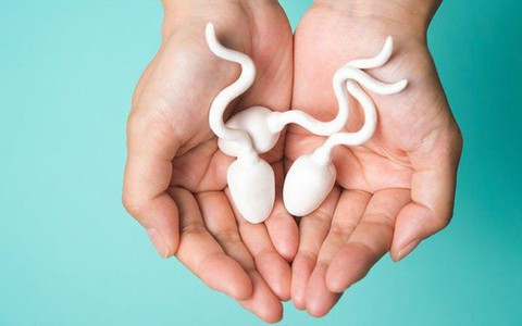 “Hàn thử biểu” phản ánh sức khỏe của tinh trùng