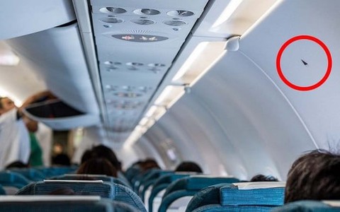 Ký hiệu tam giác nhỏ trên máy bay có ý nghĩa gì?