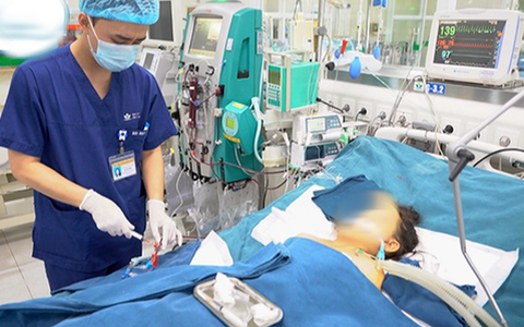 Bé trai tử vong vì ong vò vẽ đốt hơn 100 nốt trên đường đi học