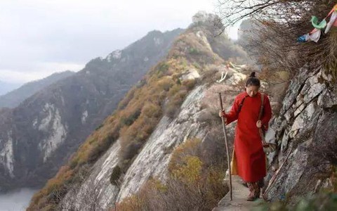 Cô gái quyết tâm sống ẩn cư, chưa "đắc đạo thành tiên" thì phải vội vàng trở về thành phố vì... không trả nổi tiền thuê nhà trên núi