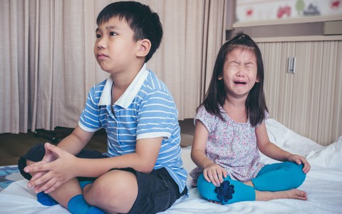 Tại sao có chuyện anh chị em trong nhà ghét nhau như "chó với mèo"?