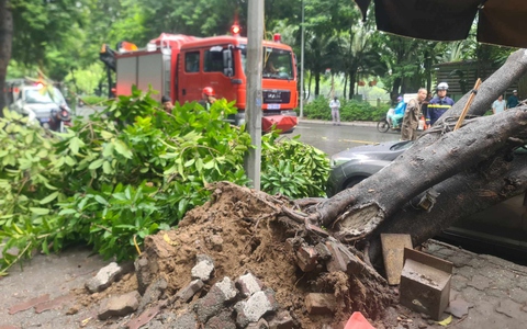 Hà Nội: Cây cổ thụ bật gốc đè ô tô con sập nóc