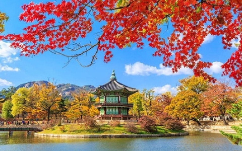 Sau nghỉ lễ 2/9, hàng loạt tour du lịch quốc tế giảm giá mạnh