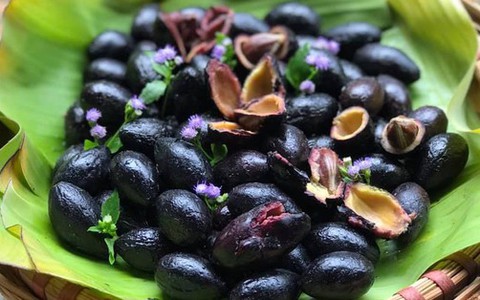 Loại quả mùa thu vừa cứng vừa chát nhưng "bổ ngang thịt", lại trị được hơn 10 bệnh