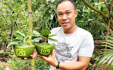 Bưởi hình hồ lô, thỏi vàng ở miền Tây giá hơn 1 triệu đồng/cặp chưng Tết