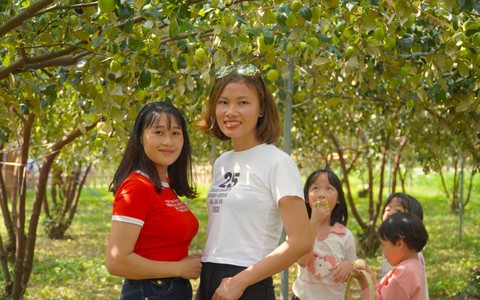 Mê mẩn vườn táo trĩu quả, giới trẻ đổ xô đến check-in