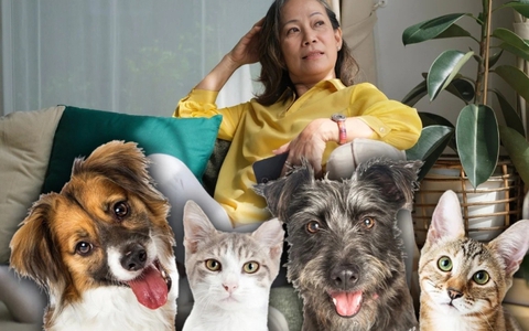 Bị 3 con bỏ mặc, bà lão để lại tài sản hơn 69 tỷ đồng cho thú cưng