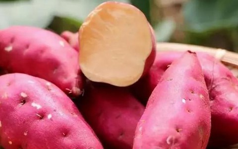 Người ăn khoai lang thường xuyên vào bữa sáng cần lưu ý điều này