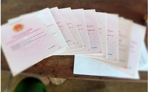 Một phụ nữ sử dụng 19 "sổ đỏ" giả để thế chấp vay 10 tỷ đồng