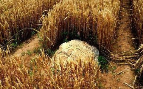 Vì sao “ngọn núi nhỏ nhất Trung Quốc” cao chỉ 0,6m nhưng không ai dám leo trèo?