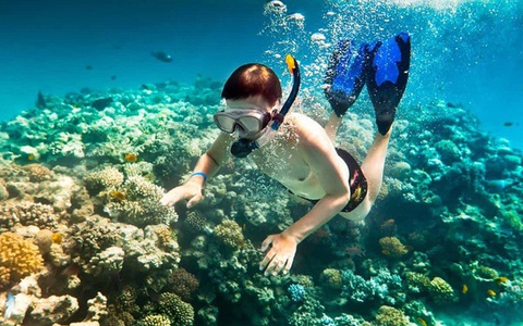 Kinh nghiệm lặn ngắm san hô ở bán đảo Sơn Trà