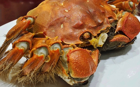 Loại cua "quý tộc" của Trung Quốc trở thành món ăn bình dân tại Việt Nam