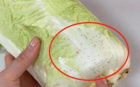 Những đốm đen lấm tấm trên lá rau cải thảo là gì? Có thể tiếp tục ăn ngay cả khi không thể rửa sạch? Gợi ý 2 món siêu ngon từ rau cải thảo