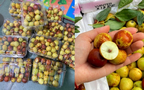 Loại quả được coi là "thần dược" từ Trung Quốc bán nhiều ở chợ Việt: Lưu ý gì khi ăn để tránh hại sức khỏe?