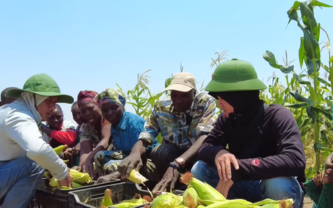 Loại nông sản bán đầy chợ Việt được team Quang Linh châu Phi đem trồng ở Angola, giá đắt gấp 5 lần vẫn cháy hàng