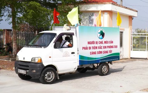 Tử vong do dại sau gần 1 năm bị mèo cắn