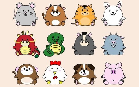 Hợi đào hoa ngập lối, Thìn làm gì cũng hanh thông ngày 25/10