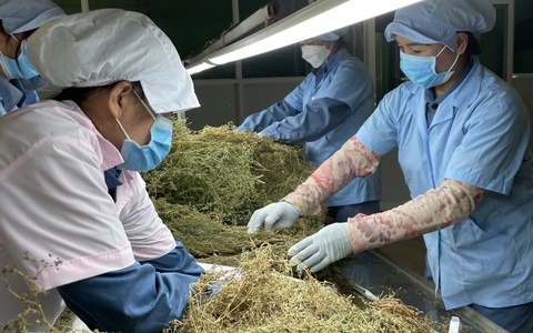 Loại bỏ thuốc y học cổ truyền từ động, thực vật nguy cơ tuyệt chủng