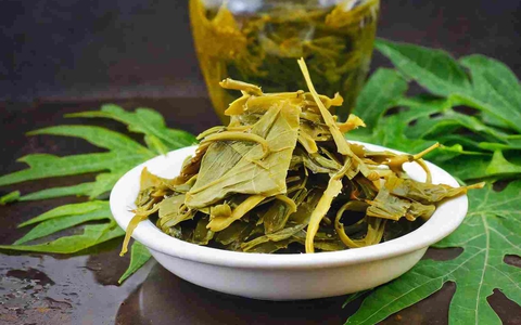 1 thứ nước lá giúp da và tóc của chị em “trở lại thanh xuân”, ngừa ung thư, tiếc là ít người biết