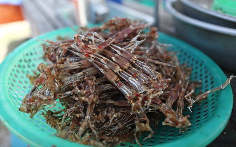 "Vũ nữ chân dài" đặc sản miền Tây vào mùa cao điểm, giá hơn nửa triệu 1kg vẫn hút khách