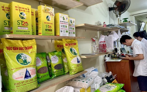 Gạo ST25 ào ạt tăng giá, mỗi kg cõng thêm 3.500 đồng