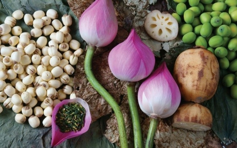 Hạt sen đại bổ nhưng những người này chớ dại ăn vào kẻo hối không kịp