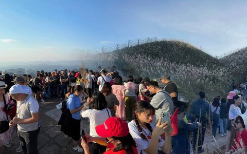 "Biển người" chen chúc trên đỉnh đồi cỏ lau cực hot ở Quảng Ninh