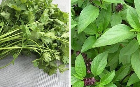 7 loại rau thơm tốt cho sức khoẻ nên ăn thường xuyên