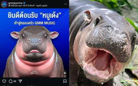 Thời hoàng kim của “đỉnh lưu” hà mã lùn: Đầu quân cho “ông lớn” giải trí xứ chùa vàng, ra mắt bằng bài hát 4 thứ tiếng