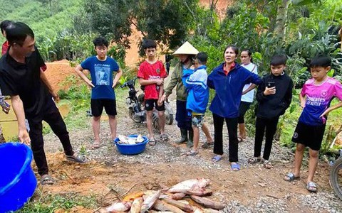 Vụ cá trong 4 ao chết hàng loạt: Đầu độc ao cá vì mâu thuẫn với hàng xóm