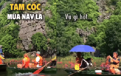 Tam Cốc - Ninh Bình mùa này có gì lạ mà khách Tây cứ phải giơ điện thoại liên tục?