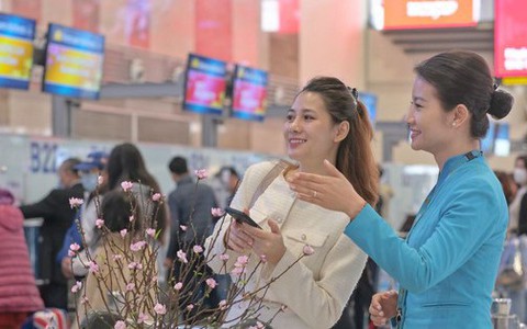 Giá vé bay Tết hiện ra sao?
