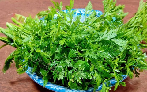 Loại lá xưa nay toàn bỏ đi nhưng là "báu vật toàn thân", nấu 2 món ăn ngon vô cùng lại giúp sạch gan, nhuận phổi