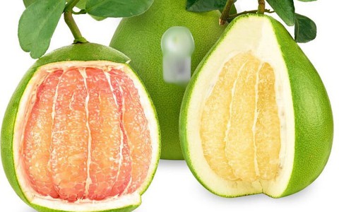 Bưởi đỏ hay bưởi trắng tốt hơn? 