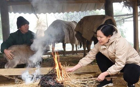 Khả năng có nhiều đợt rét đậm, rét hại trong 2 tháng đầu năm 2025