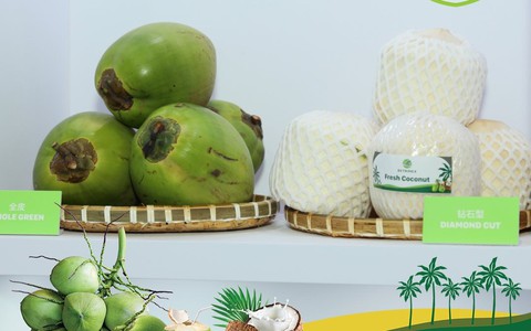 Dừa Việt - ‘Ngôi sao mới nổi’ trong CLB xuất khẩu nông sản tỷ đô: Đấu tay bo với dừa Thái ở xứ Trung, vượt ngàn chông gai chinh phục thị trường Mỹ