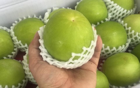 Loại trái cây đắt đỏ bậc nhất thị trường, VN cũng trồng được loại tương tự nhưng giá chỉ vài chục nghìn/kg